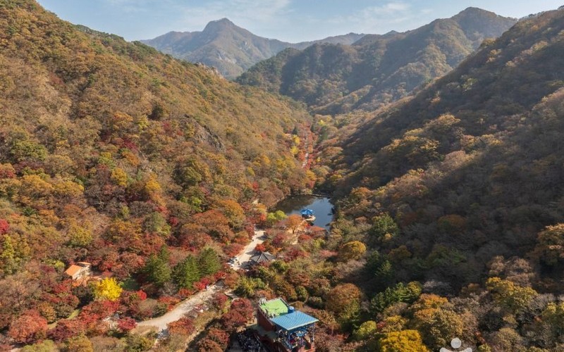 내장산 단풍 2026 미리 보는 절정 시기와 주차&middot;케이블카 예산 동선 총