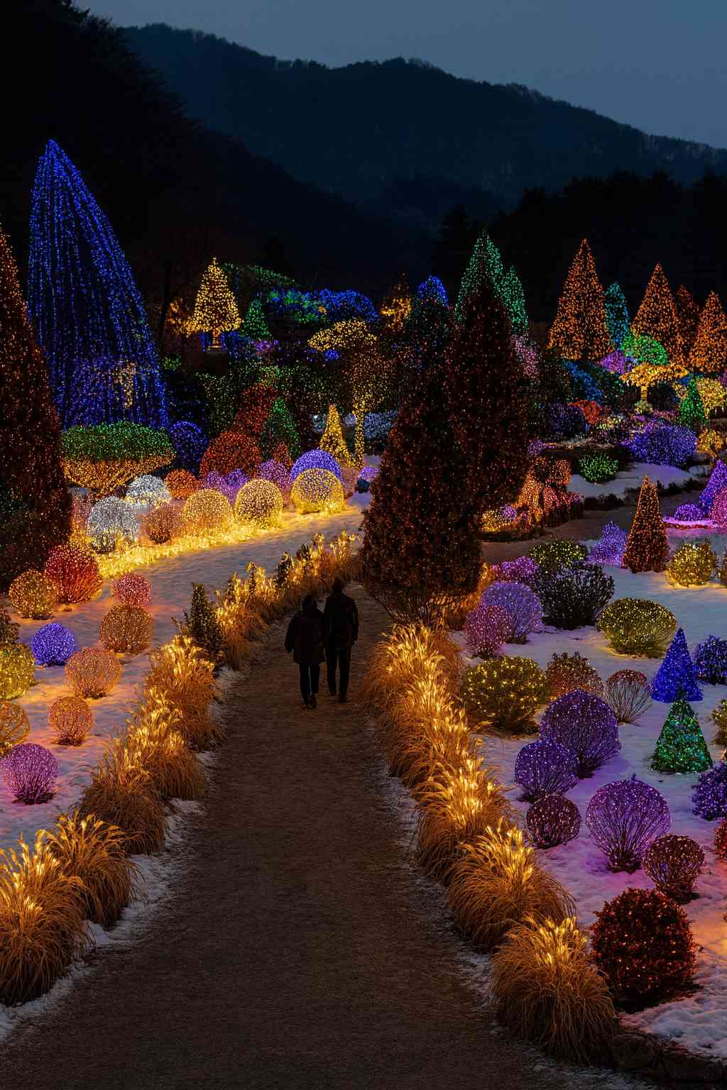 가평 아침고요수목원 오색별빛정원전