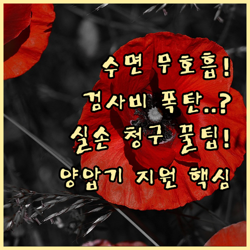 수면 무호흡 진단 검사 비용 실손 청..