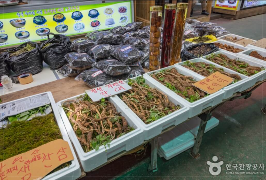 정선 가볼만한곳 베스트10 정선 아리랑시장