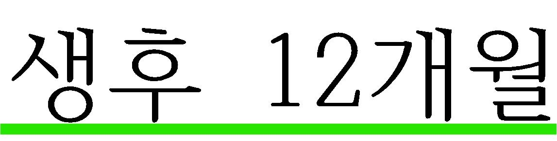 생후 12개월