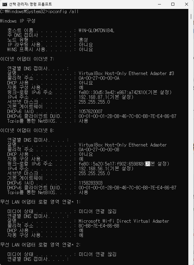 ipconfig /all (내트워크 상세 정보 확인)