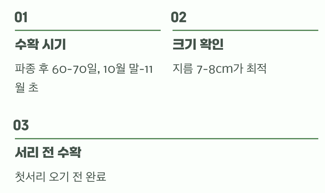 수확의 기쁨&amp;#44; 땅속의 붉은 보석