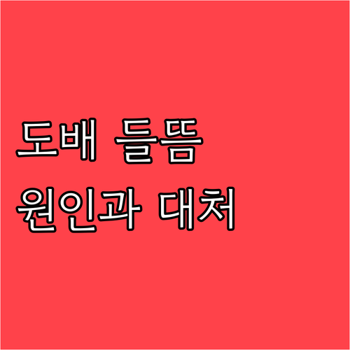 장마철 습기, 겨울철 온도차! 도배지