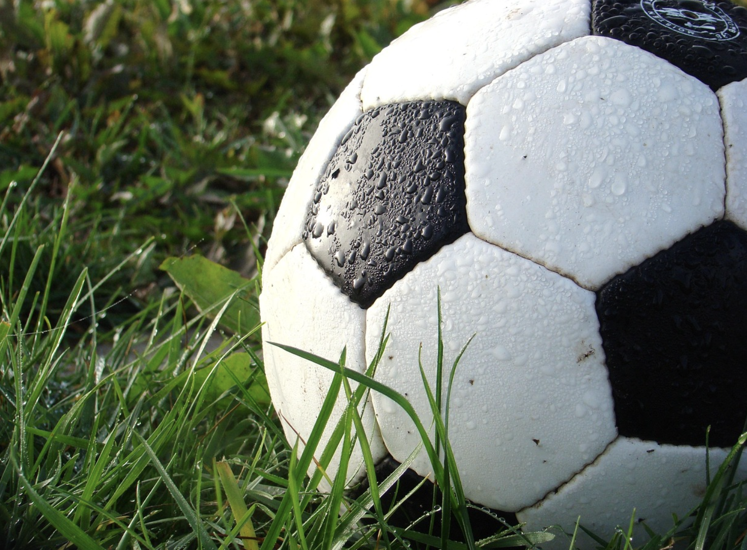 축구 관련 대표 이미지