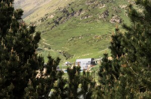 강원도-한-달-살기-6