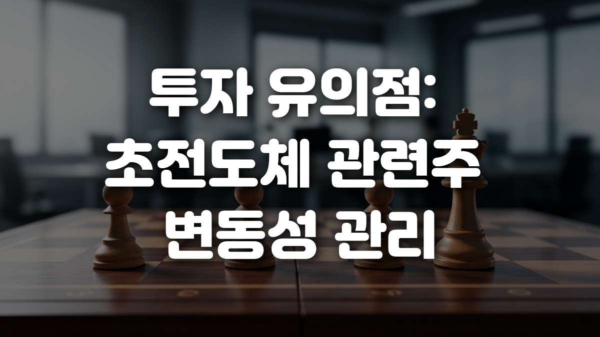 투자 유의점 초전도체 관련주 변동성 관리