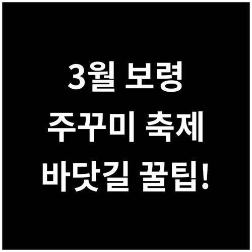 3월 보령 여행 코스 주꾸미 축제 무..