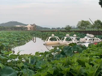 무안 가볼만한곳 베스트10 현지인 추천 필수코스_9