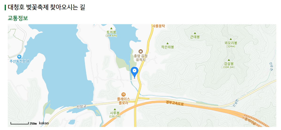 대청호 벚꽃축제 일정 맛집 가이드