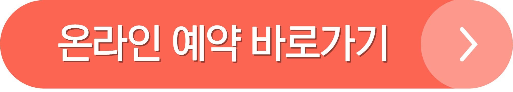 🍂 2025 남이섬 가을 여행 완벽 가이드