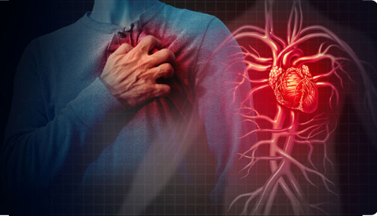 채식 중심 식단과 암 발병 위험 감소 관련 이미지