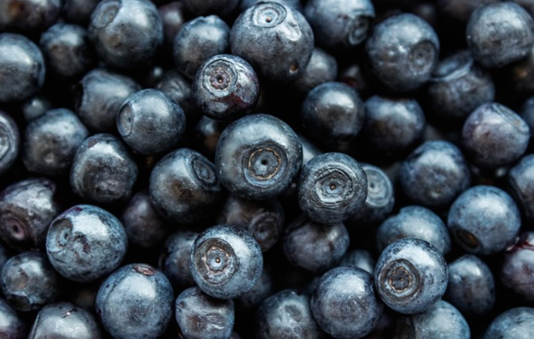 신장에 좋은 음식