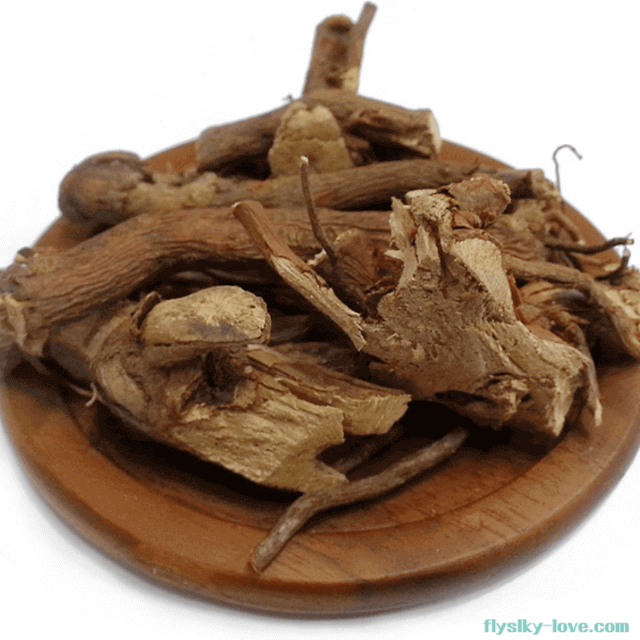 잘 말린 찔레나무 뿌리