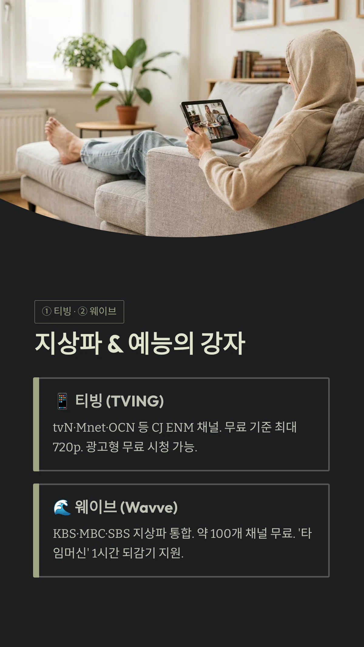 지상파 &amp; 예능의 강자