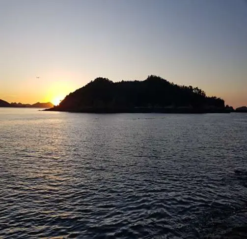 야미도