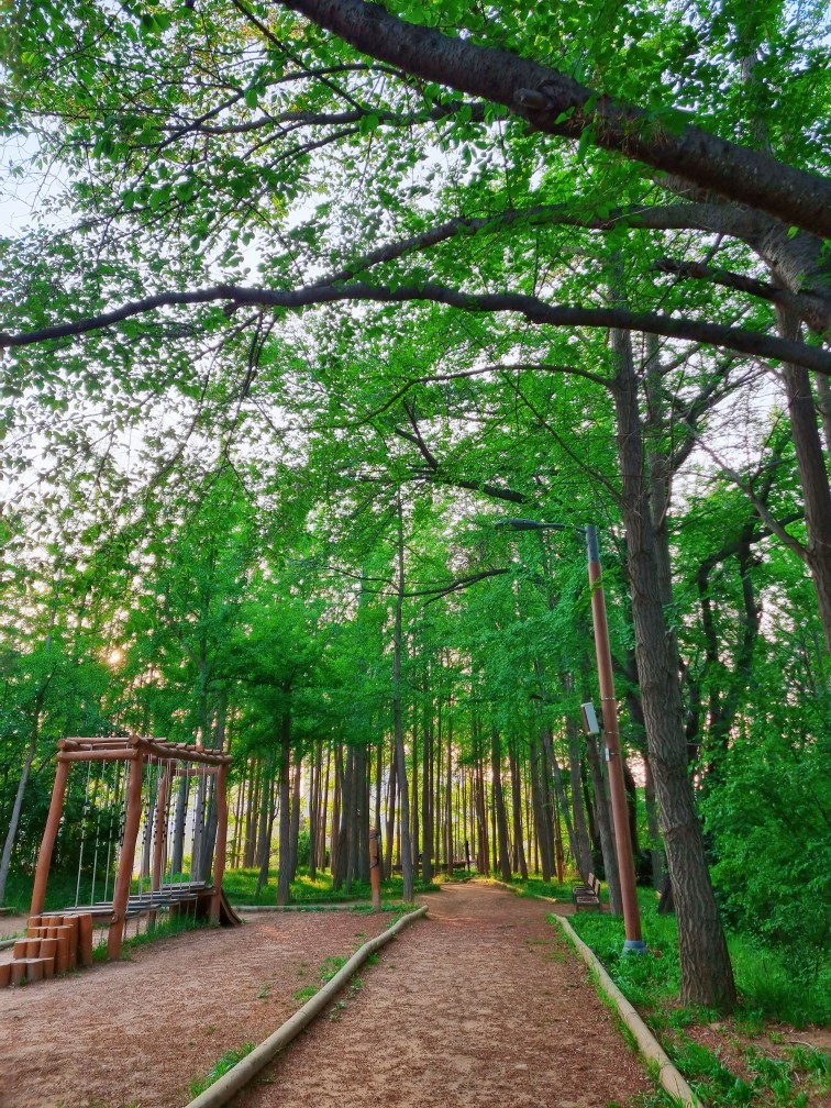 인천 영종도가볼만한 곳: 구읍뱃터 영종진 공원의 해안 산책로, 숲 산책로