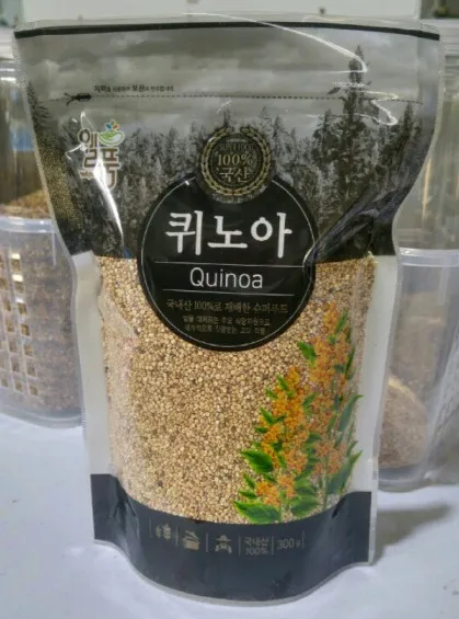 퀴노아 재배 배수성 좋은 흙 고온 건조 적응 수확_8