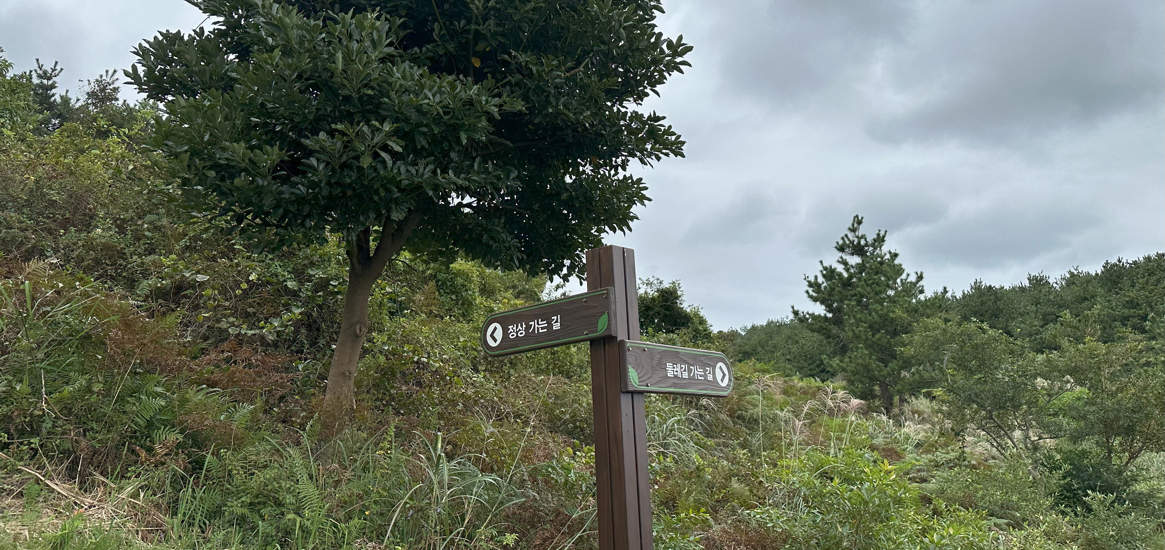 돝오름 탐방로