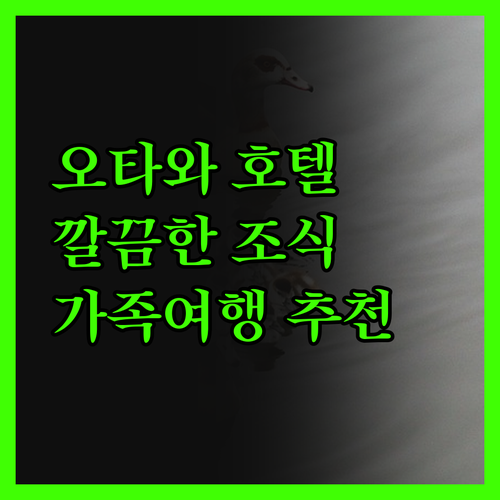 홀리데이 인 익스프레스 오타와 다운타