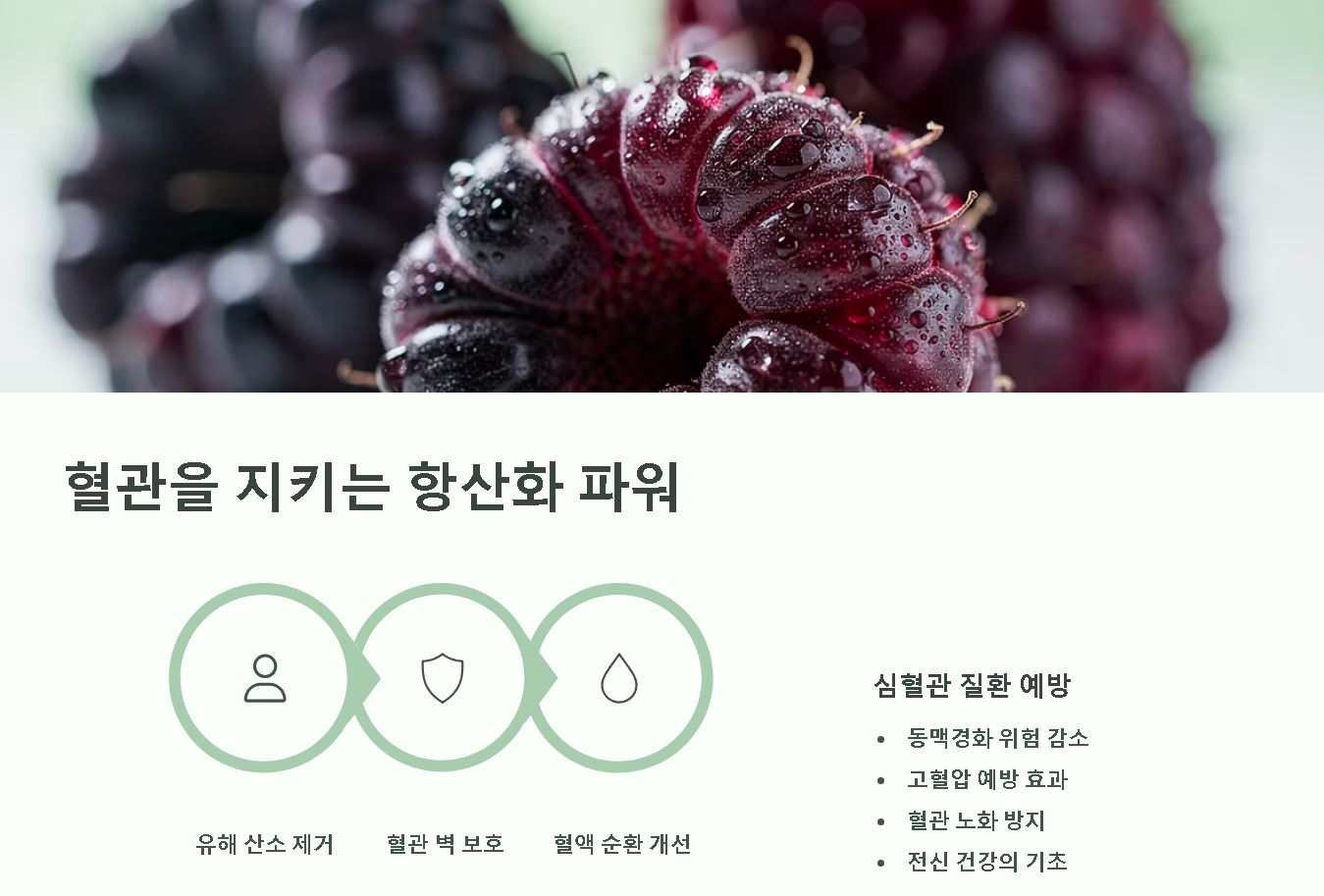 복분자 효능