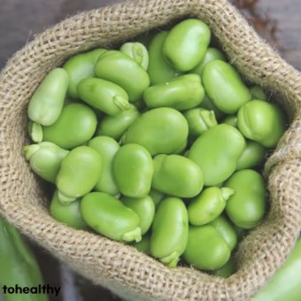 파바빈 효능 자이언트 파마빈 먹는방법 총정리