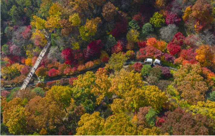 화담숲 예매하기 출처 화담숲 홈페이지