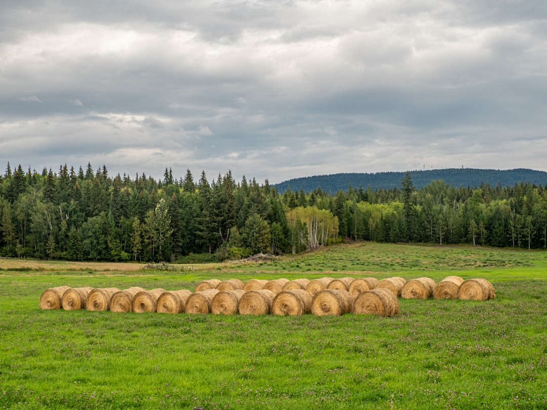 Smart Farm