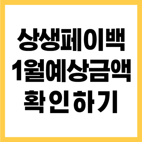 상생페이백 1월 예상 금액 확인하기