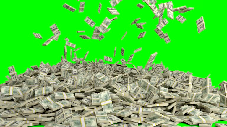 민생지원금 25만원