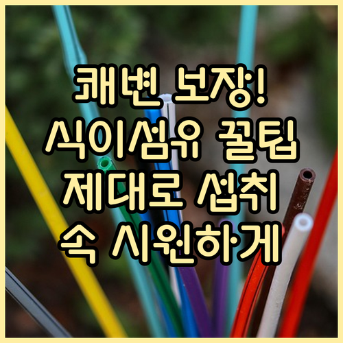 쾌변 보장! 식이섬유 제대로 알고 똑..