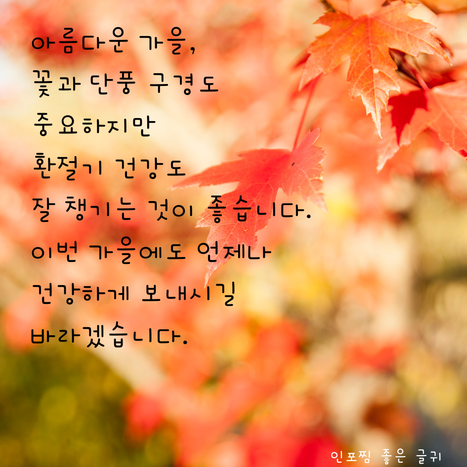 가을 인사말 문구 이미지 모음집 가을 아침 인사말 안부 메세지 모음