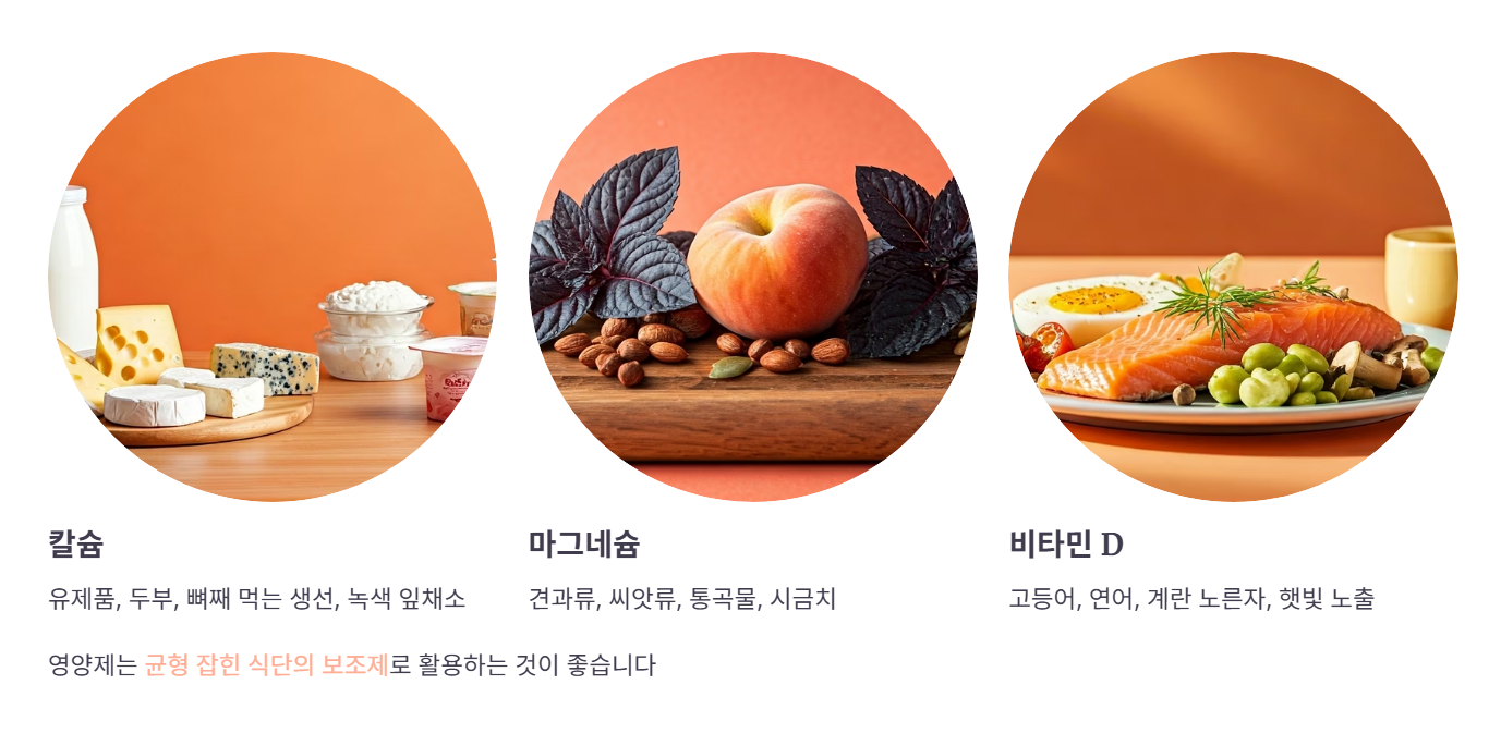 칼마디 영양제 최종 점검!