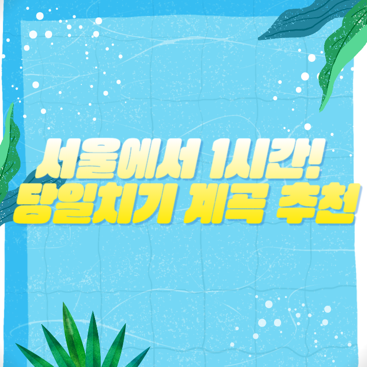 서울 근교 계곡 여행지 추천! 가평·양평·춘천 시원한 물놀이 명소 총정리