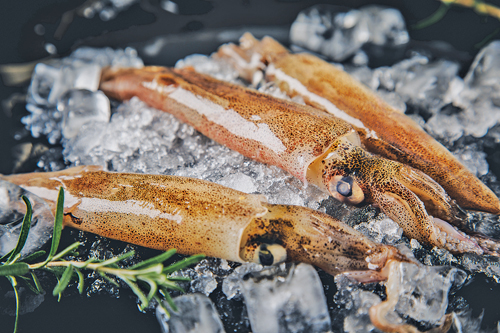 오징어 효능 및 부작용