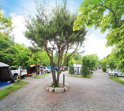 무주수목원캠핑장