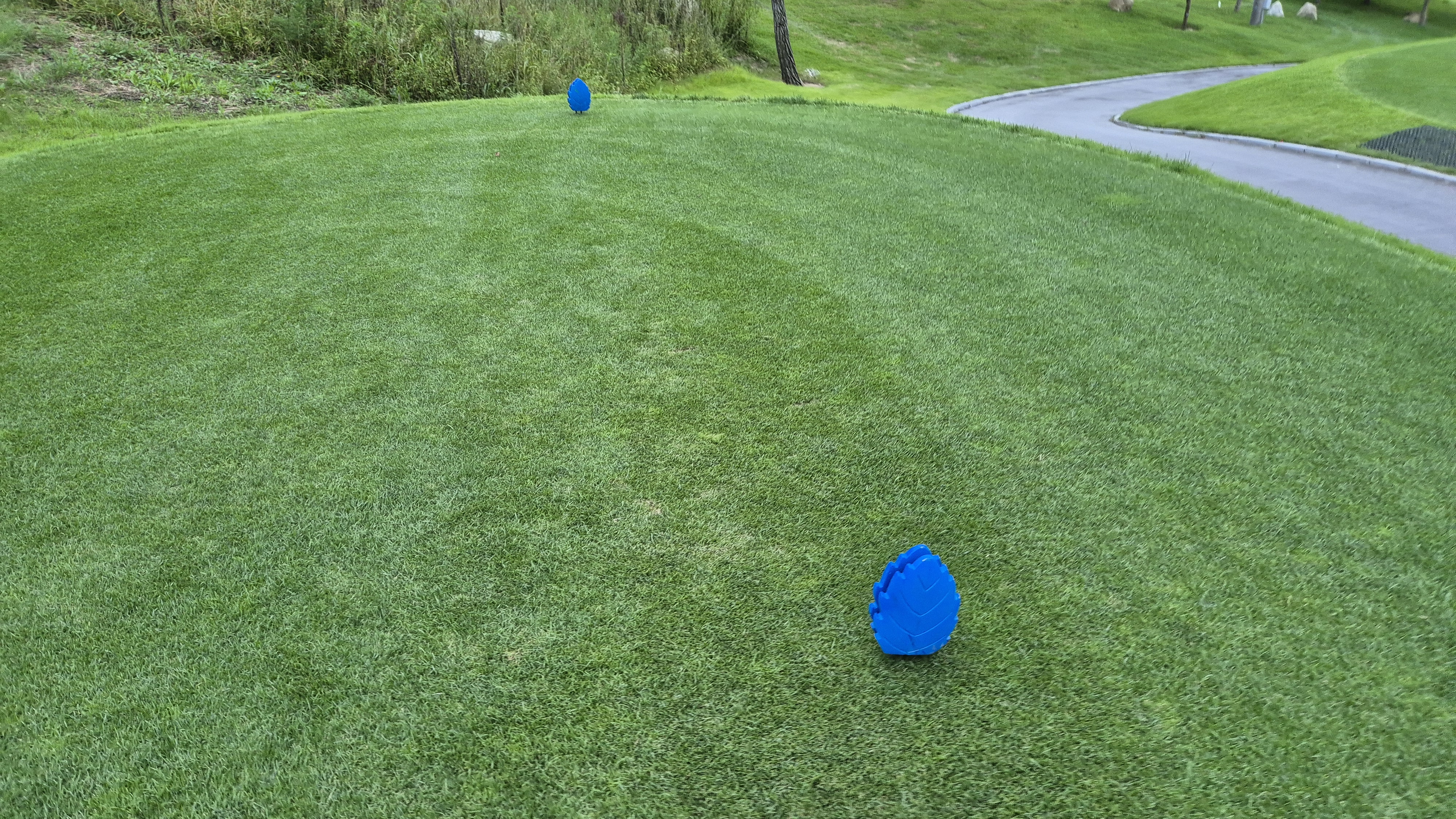 오크힐스cc 티잉구역 상태