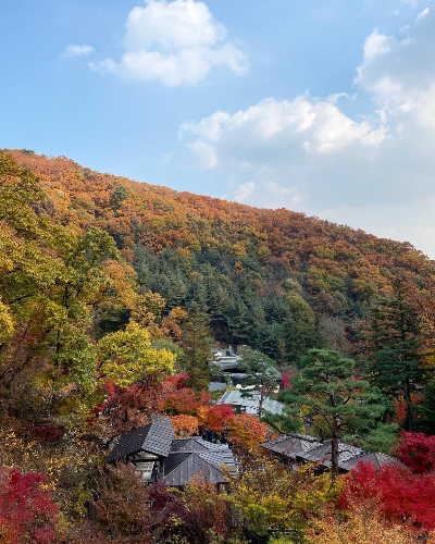 2022 화담숲 사진