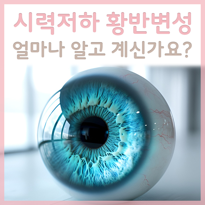안구-모형