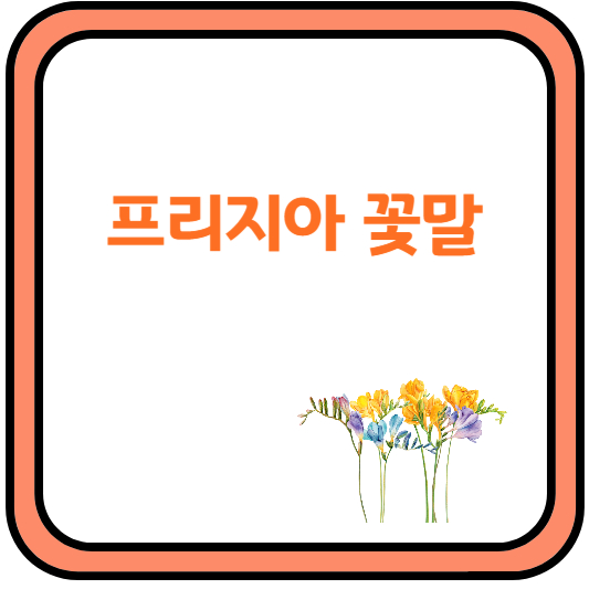 프리지아