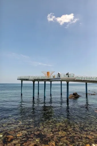 묵호항 배시간표 배편 요금 예약_11