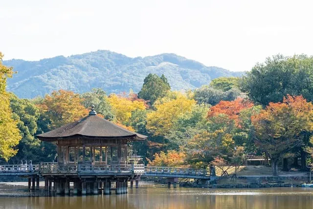 케이뱅크 사장님 여행지원금 응모방법