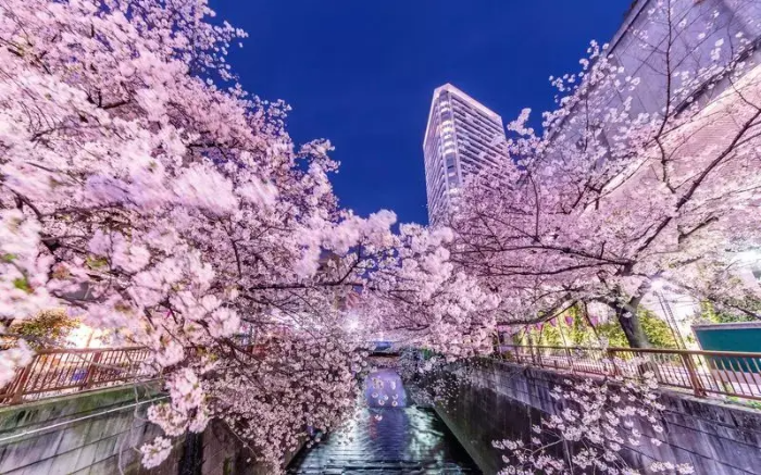 메구로