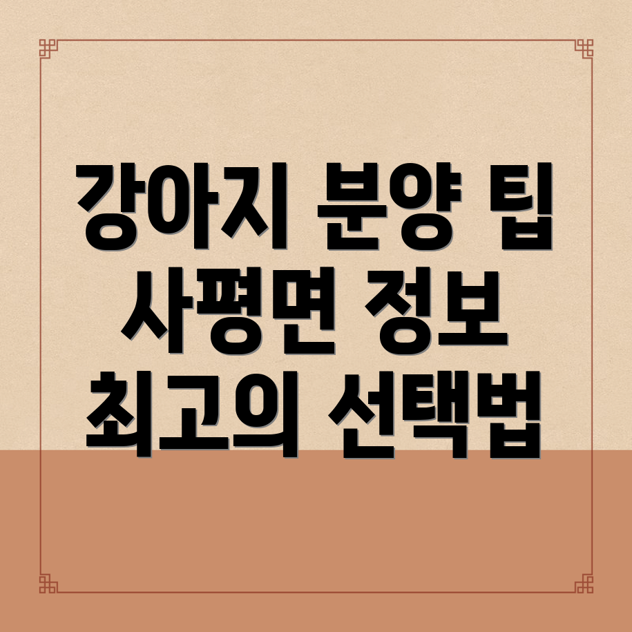 애견분양