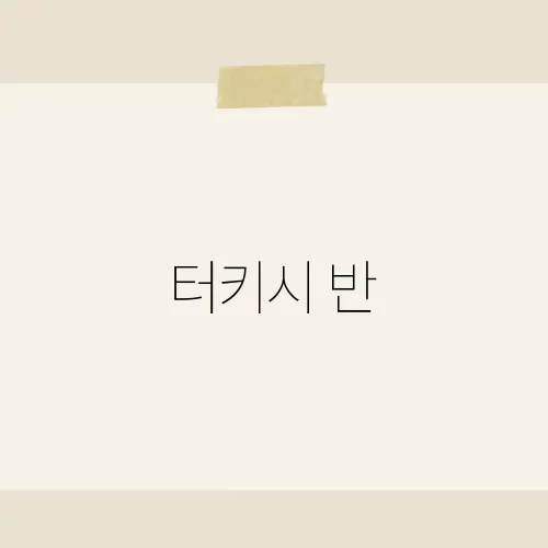 터키시 반, 그 고양이의 특별한 매력은?