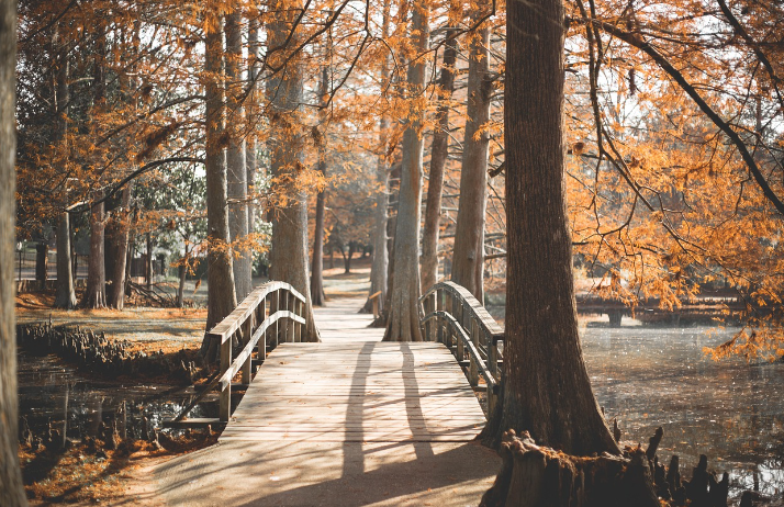 근로자 휴가지원사업 홈페이지 전용 온라인몰 20만원 받는 법 정리