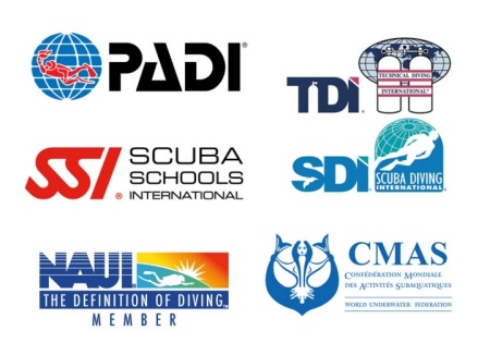 스쿠버 다이빙 협회 로고 모음