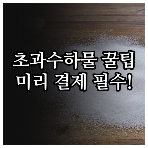 초과 수하물 요금과 사전 결제 방법 ..