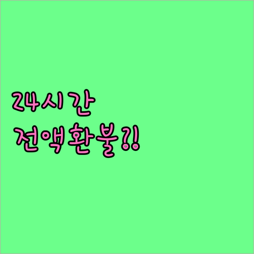 예약 후 24시간 이내 전액 환불 조..