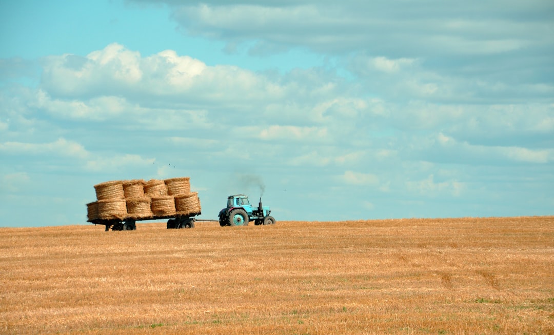 Harvest